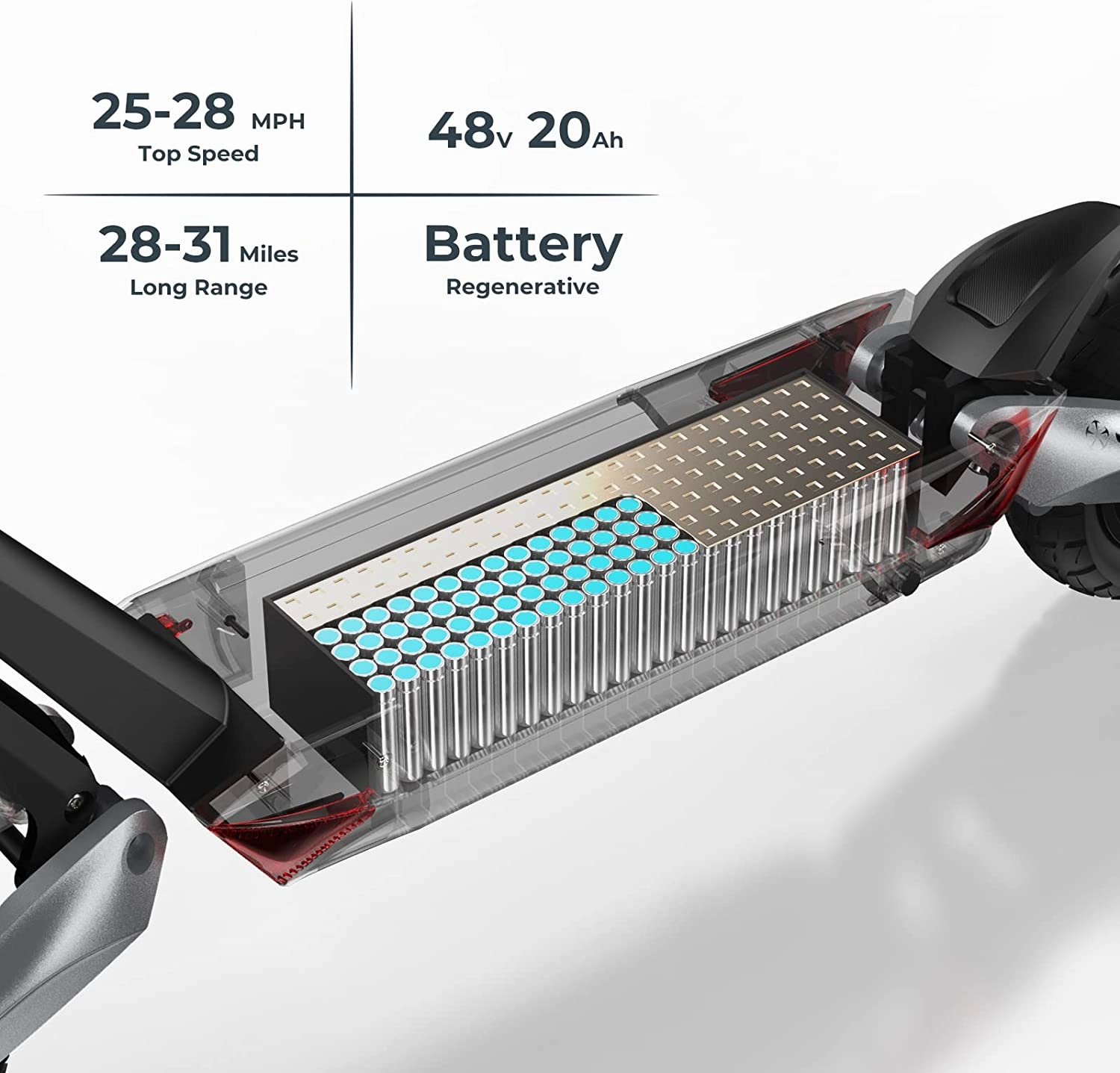 CIRCOOTER Raptor Pro Off-Road E-Scooter [1600W Dual Motor]