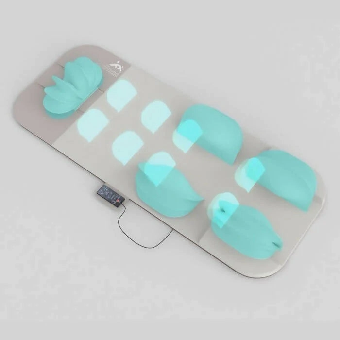 Good Friend Full body All-in-one Smart Stretching & heating Massage Mat