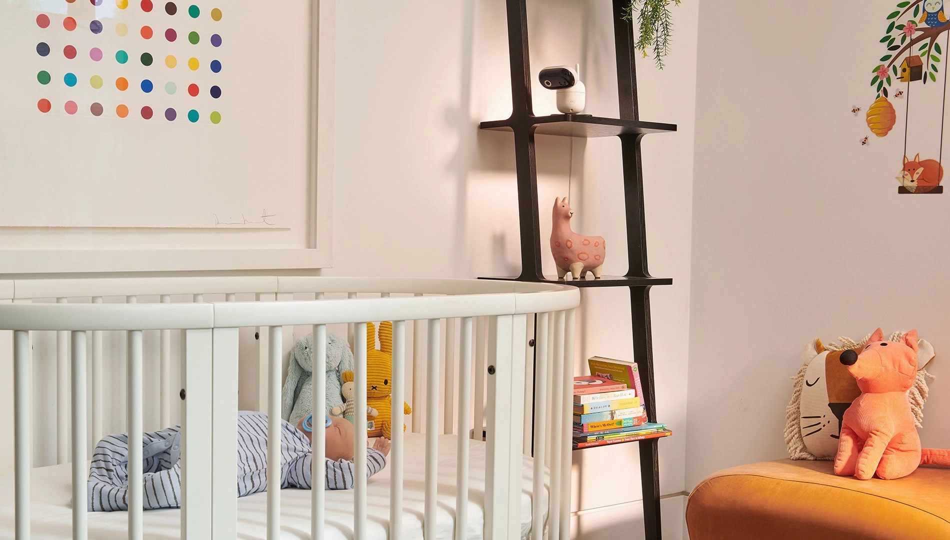 Motorola PIP1510 Connect 5 1080p Remote Pan/Tilt Video Baby Monitor