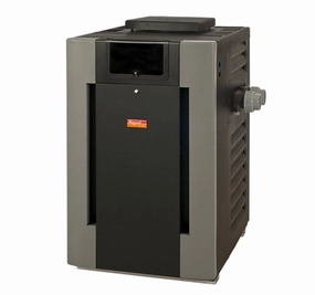 RUUD #50 332K BTU Natural Gas Digital Polymer Pool Heater