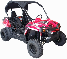 TrailMaster Challenger 200 UTV Go Kart. (Special) for Youth & Adult